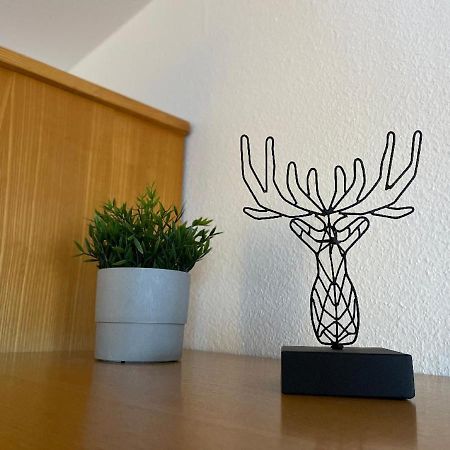 Appartement Zum Hirsch'N ヴァルトキルヒェン エクステリア 写真