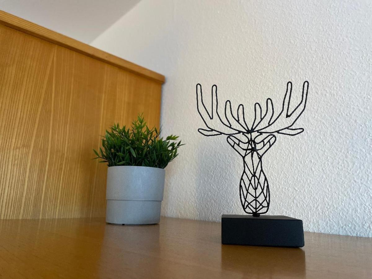 Appartement Zum Hirsch'N ヴァルトキルヒェン エクステリア 写真